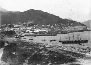 Photograph of Lyttelton and its port