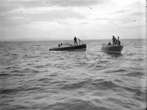 Whaling, Tory Channel