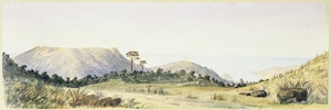 [Hodgkins, William Mathew], 1833-1898 :Pegasus Bay - Banks Peninsula from Mt. Sinclair. [1869]