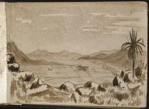 Artist unknown :[North Canterbury sketches]. Limehurst, Waikari, looking towards Greta Peaks. 1882.