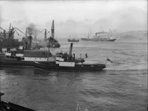 Ships in Wellington Harbour awaiting the arrival of HMS New Zealand