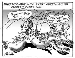 News - Drug waste in U.K. coastal waters is getting prawns and shrimps high. 14 July 2010
