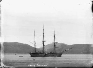 The whaling ship Splendid, at Port Chalmers