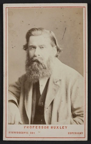 Stereoscopic Co (London) fl 1800s :Portrait of Professor Huxley