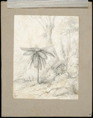 Swainson, William, 1789-1855 :Native potato house, Hawkshead, River Hutt / W.S.3 Nov 1843 - 54 [1854]