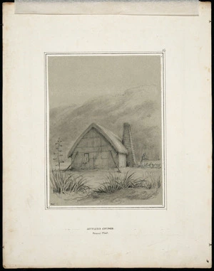 Swainson, William, 1789-1855 :Settlers cottage, Petoni Flat / W.S. [ca 1846]