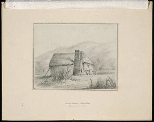 Swainson, William, 1789-1855 :Settlers cottage, Petoni Flat. 1846 - since ruined [1846].