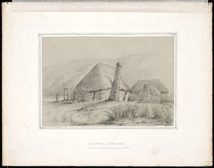 Swainson, William, 1789-1855 :Original cottages of the first settlers on Petoni Beach as they appeared in 1845 / W.S. 1846