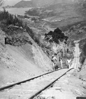 K T Co Sawmill's tram line at Whangaparapara, Great Barrier Island