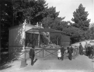 At the lion cage, Wellington Zoo, Newtown, Wellington