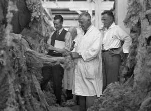 Green & Hahn (Photographers) : Buyers appraising wool at a Canterbury woolstore