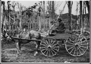 Creator unknown :James George Wilson in a buggy, Hawke's Bay