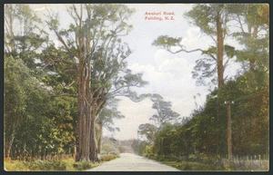 [Postcard]. Awahuri Road, Feilding, N.Z. Dominion of New Zealand. Industria post card (carte postale). Printed in Germany. Protected no. 1696 [1909]