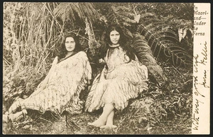 [Postcard]. In Maoriland - Under the ferns. Post card - carte postale [1904]
