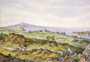 [Barraud, Charles Decimus] 1822-1897 :Auckland 1875