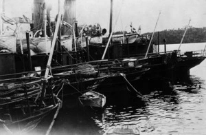 Whale chasers, Paterson Inlet, Stewart Island