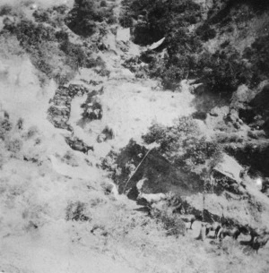 View of Mules in dug in lines, Gallipoli, Turkey