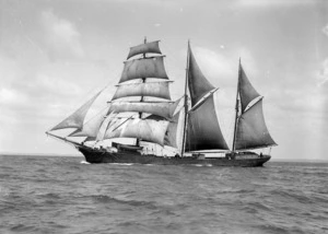 Sailing Ship, 'Senorita' in full sail