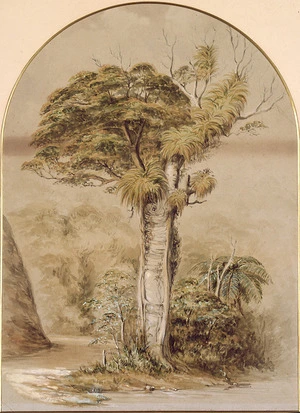 Barraud, Charles Decimus, 1822-1897 :Rata tree, Karori Road. [Large version] 1854