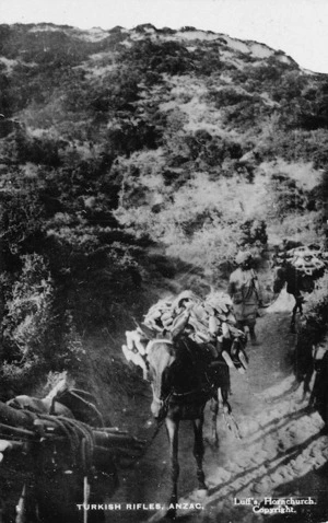 Mules carrying loads of captured Turkish rifles, Gallipoli, Turkey