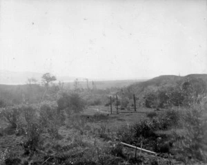 Land at the Lynch farm, Paraparaumu