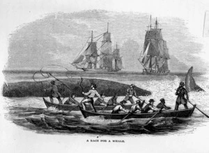 Artist unknown :A race for a whale. [1861].