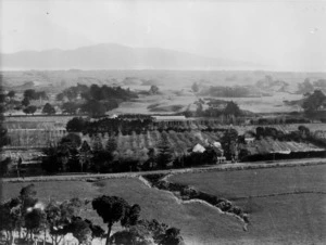 Hoggard, Tod, 1908-1999 :Orchard district, Paraparaumu