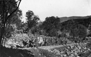 Photograph of a horse team arriving at Power House Camp, Waikaremoana