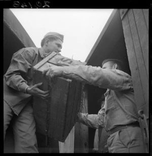 Handling vegetables for United States forces in New Zealand during World War 2