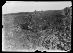 A mule bogged down in the mud on the Western Front