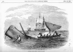 Duncan, Edward, 1803-1882 :South sea whale fishing / drawn by Duncan. W J Linton, Sc. Illustrated London news, 20 November 1847, page 328 top.