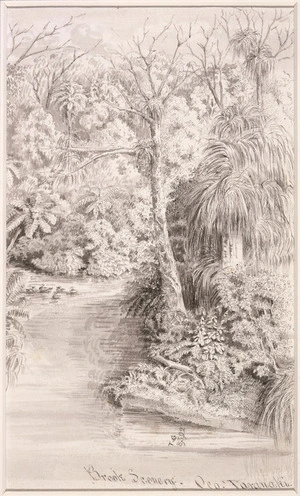 Good, Thomas, 1823-1907 :Brook scenery. Oeo, Taranaki. 8.3.[18]92.