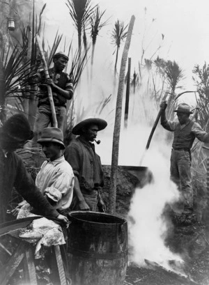 Unidentified Maori men boiling down whale blubber
