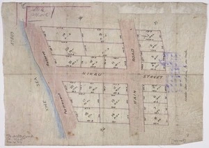 [Creator unknown] :[Sections on Nikau Street and Muritai Road, Eastborne] [ms map]. [ca.1920].