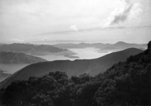 Overlooking Pelorus Sound and Tasman Bay