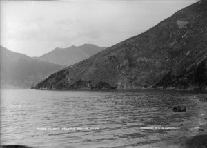 Maud Island - Photograph taken by David James Aldersley