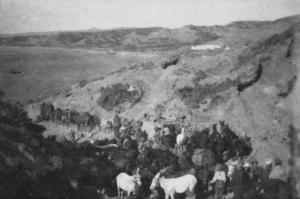 Indian Mule Corps at Gallipoli