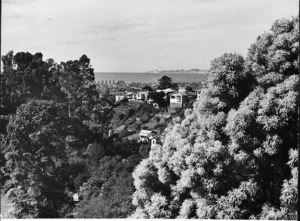 View across Napier's Botanical Gardens