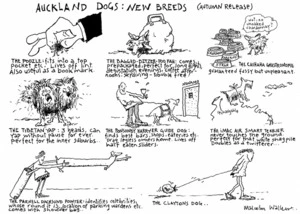 Walker, Malcolm, 1950- :Auckland dogs. 16 May 2014