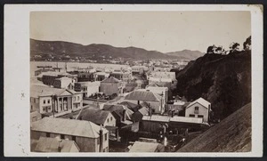 Wrigglesworth, J D (Wellington) fl 1863-1900 :Photograph of Wellington 1870s