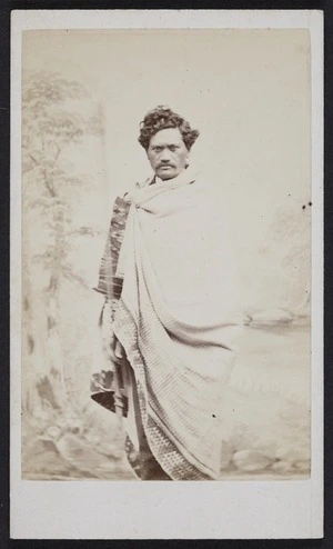 Wrigglesworth, J D (Wellington) fl 1863-1900 :Portrait of unidentified Maori (possibly a relative of Wi Tamehana)