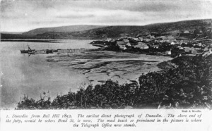 Dunedin from Bell Hill