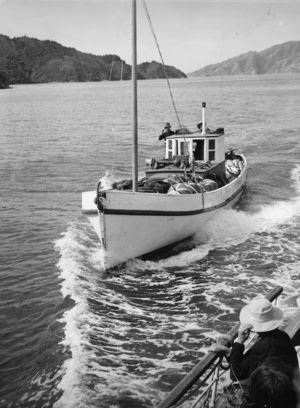 Boat Lassie at Queen Charlotte Sound