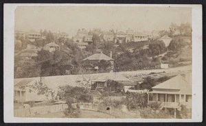 Webster, Hartley (Auckland) fl 1852-1900 :Photograph of the embankment in Upper Queen Street, Auckland