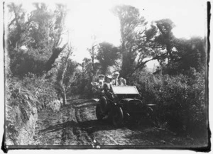 Scene on a bush lined road with a motorcar and passengers
