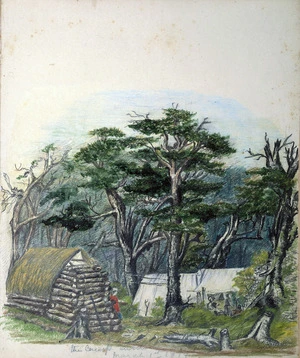 [Thomas, E. A. C.] b. 1825 :The camp [.....] March 1, 1879.