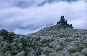 Menhir from the south, Campbell Island