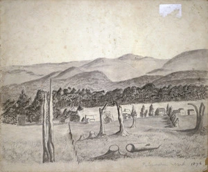 Florance, Augustus H, 1812-1879 :Palmerston North. 1876