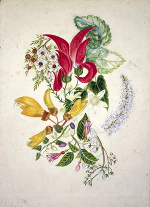 Featon, Sarah Ann 1847 or 1848-1927 :[Composite picture of flowers, New Zealand. ca 1890]