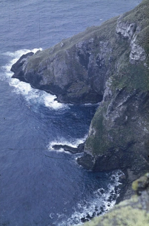 Coastal view, Campbell Island